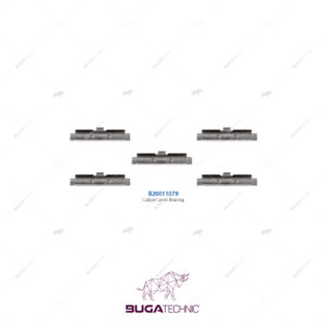 Caliper Lever Bearing Kit