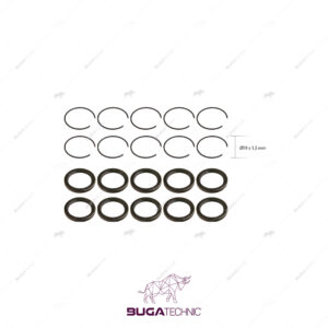 Caliper Seal Circlip Kit